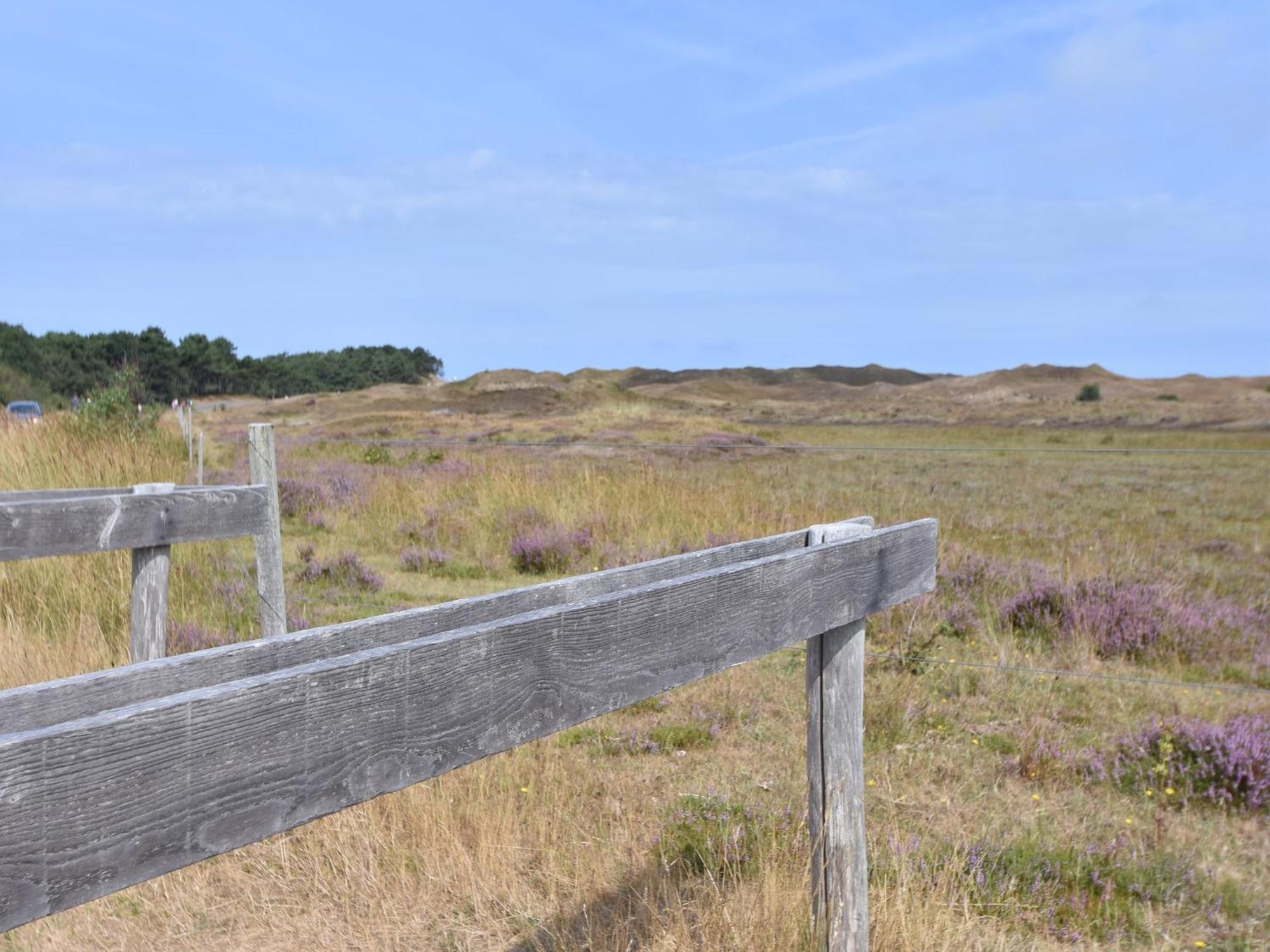 Lovely Holiday Home In Texel Near Sea Oost  Εξωτερικό φωτογραφία